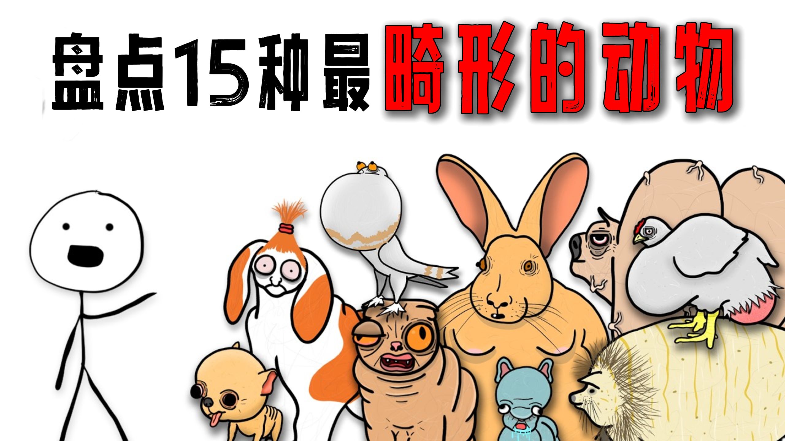 盘点人类制造出的那些最畸形的动物！