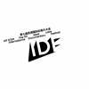 IDF对谈｜王申：以石语为影像展现文化在全球范围的传播与折叠