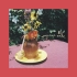Summer Salt - Honeyweed [Full EP] 独立乐队 学习/放松用甜向BGM