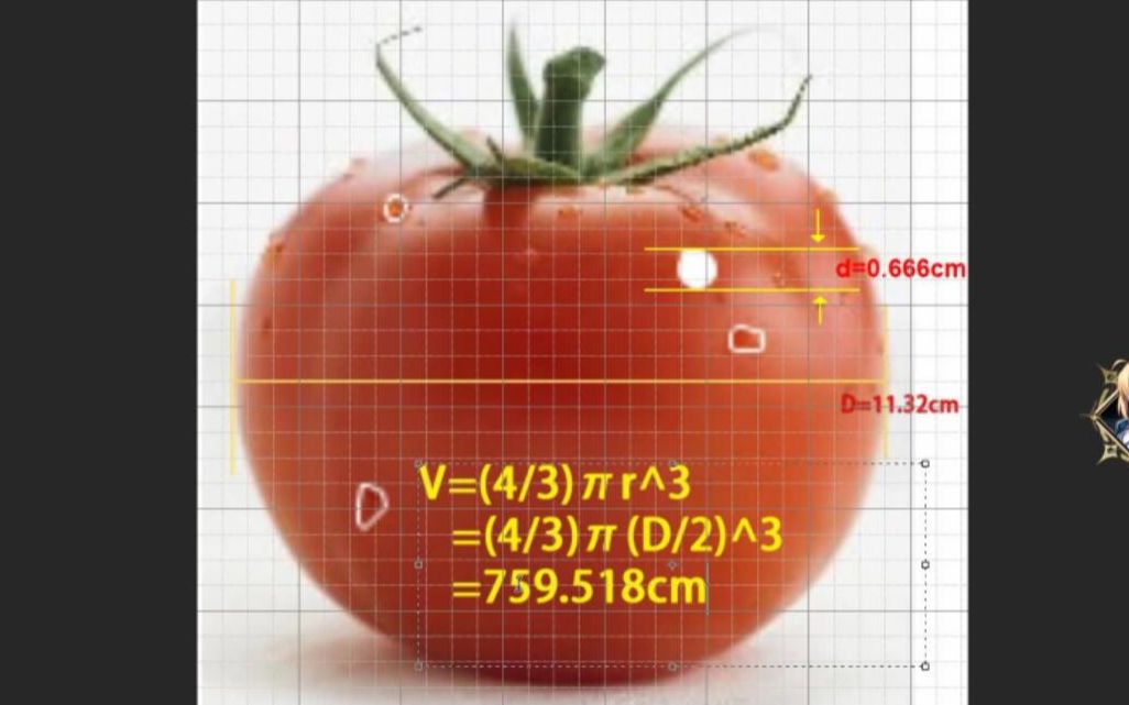 我算出了这颗老番茄的尺寸，b站第一人