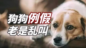 4f9f9f66a74185b5207f1205b791fca9c67dbb86.jpg@280w_158h_1c_100q.jpg