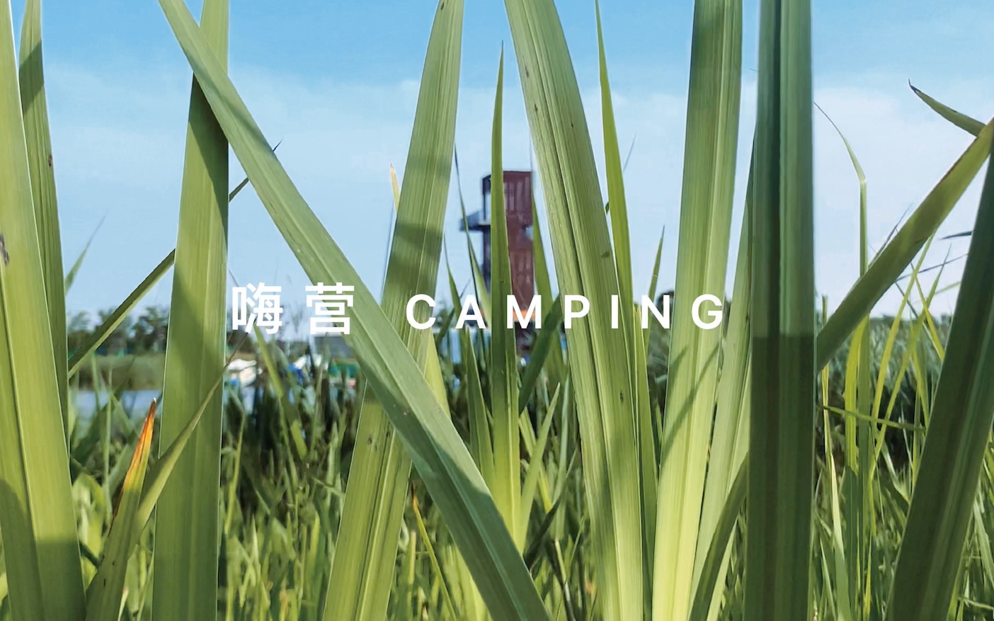 嗨营 CAMPING 第一季