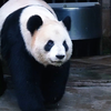 可爱：啥？窝妈带着奶渍上班了，还在拉丝