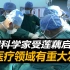 中国科学家通过“藕断丝连”，研发出仿生手术缝线，开创全新领域