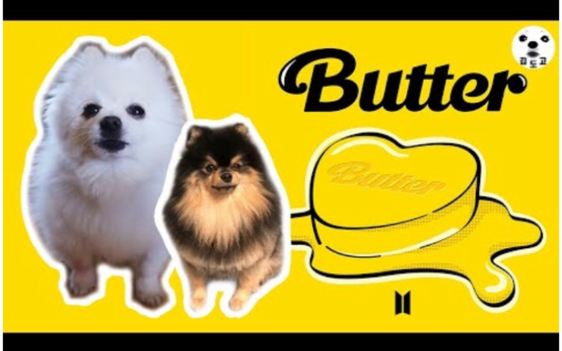 bts狗狗版butter