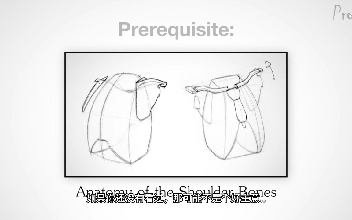 【艺用人体解剖】Proko（全集中字）2-4.2:肩部骨骼画法