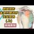 肩袖损伤 肌肉讲解（十二）  非急性期治疗之代偿肌肉 （上）