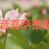 《观音菩萨赞偈