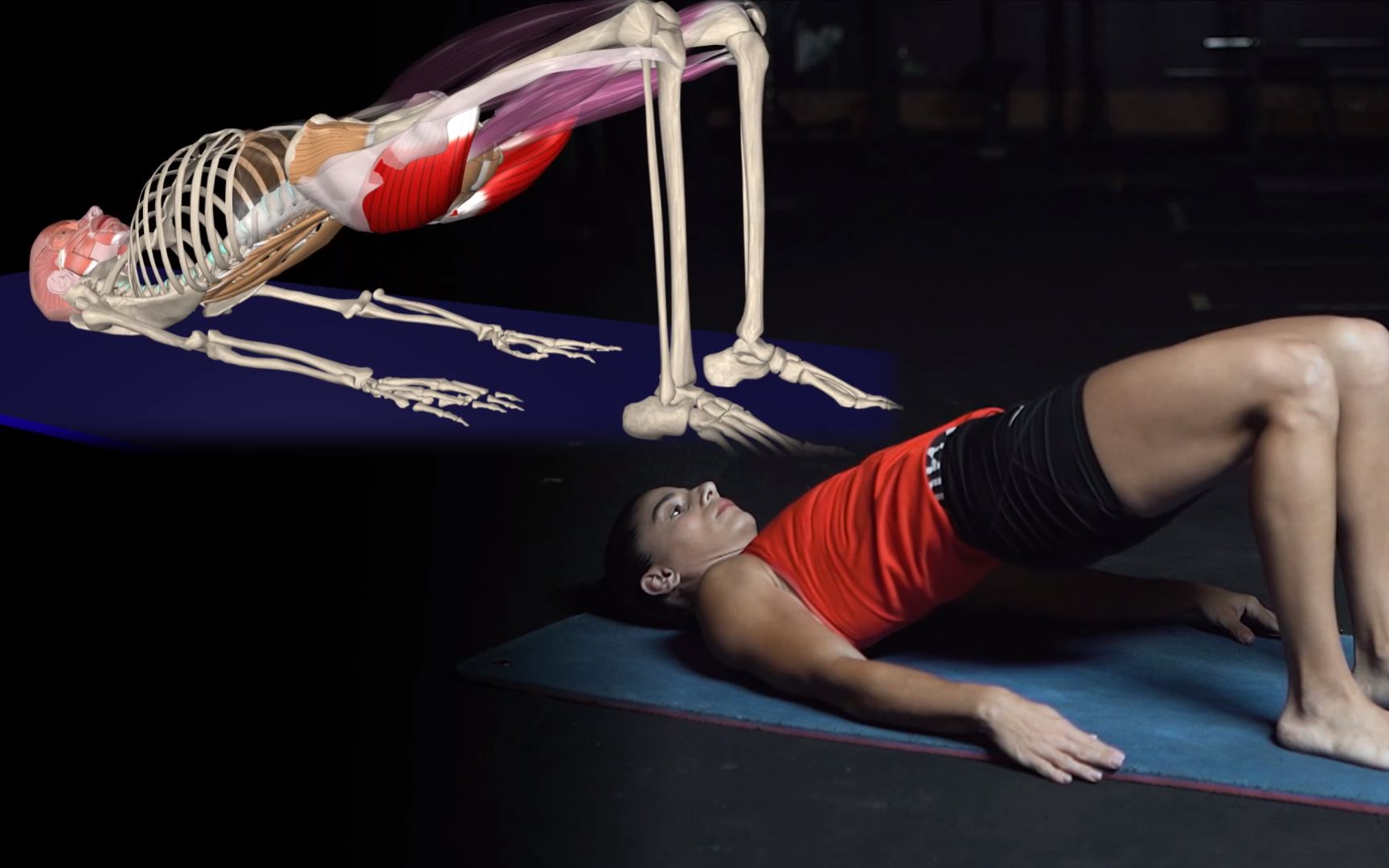 肌肉在运动中要扮演哪些重要的角色呢？