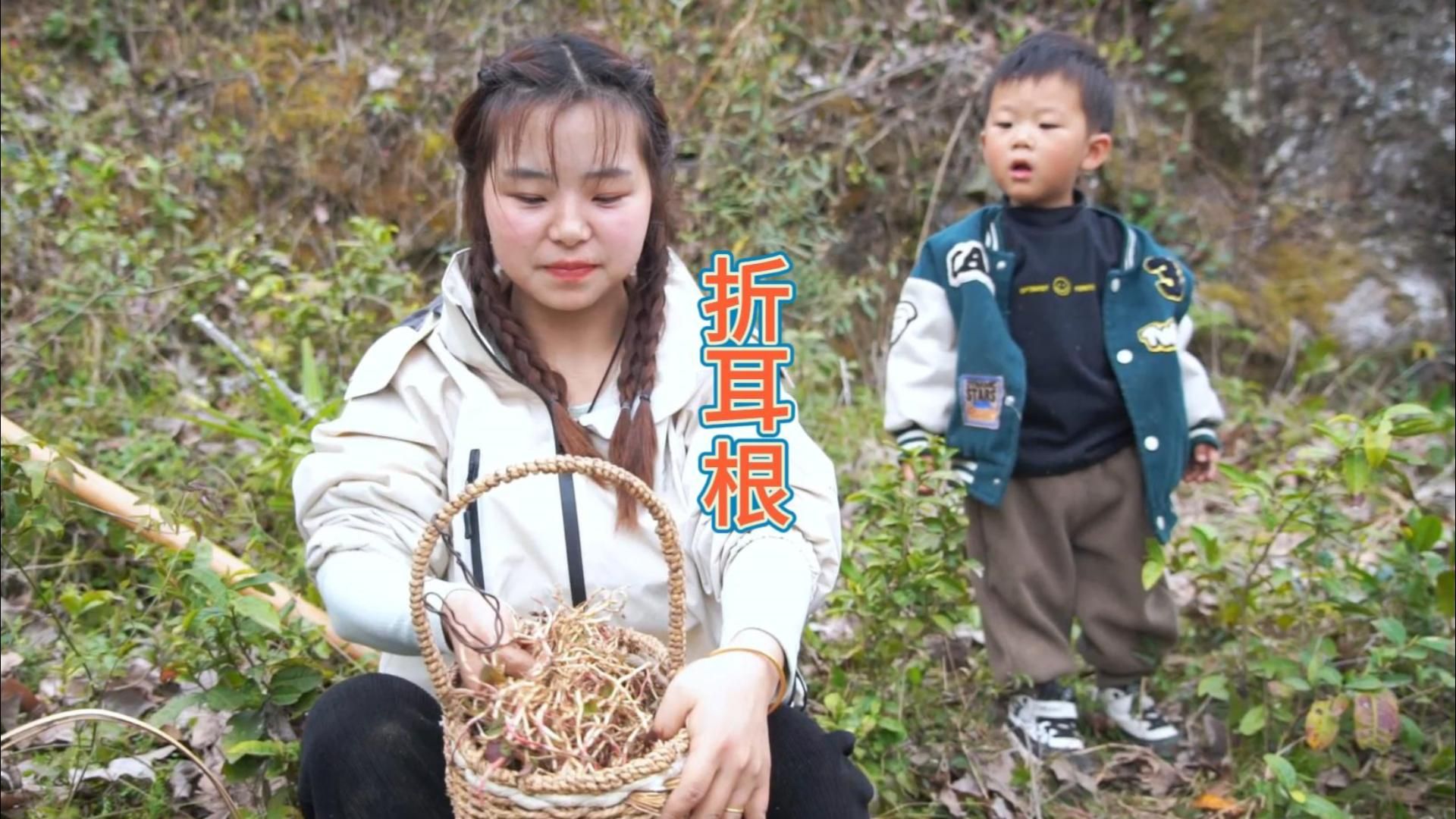 小八带闺蜜挖折耳根，满地都是超安逸，挖的根本不想走