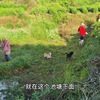 说我勤劳吧，我也不爱干活，说我懒吧，也能干点活
