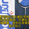 熏风国伦河北省队专供，高阶的全面拍，打感扎实，控球精准，性价比非常高，新手勿入 #羽毛球拍 #熏风河北省队