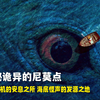 神秘诡异的尼莫点 航天飞机的安息之所 海底怪声的发源之地
