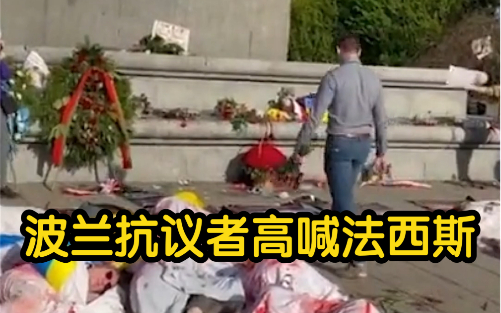 一青年向苏联红军烈士纪念碑献花 周围抗议者高喊“法西斯”