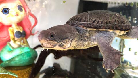 5096f57f9d52a120e0015baa4812453839d6e9c5.jpg@480w_270h_1c