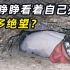 一个洞穴探险者的死亡，地下17米被困17天，死后成为热门景点