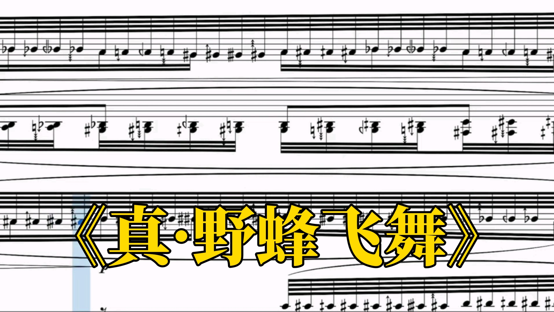 《野蜂飞舞，但是48平均律》