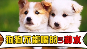 50ca0af9a4117bf5388a8ba88a4aa92955a9526c.jpg@280w_158h_1c_100q.jpg