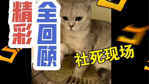 50d12070e5f883a8053f4d07fcfe405f279bcf9d.jpg@480w_270h_1c