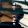 《口是心非》怀旧经典老歌经典歌曲MV - 张雨生