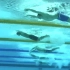 【水下镜头】2019年光州游泳世锦赛男子100米蝶泳决赛 德鲁塞尔夺冠