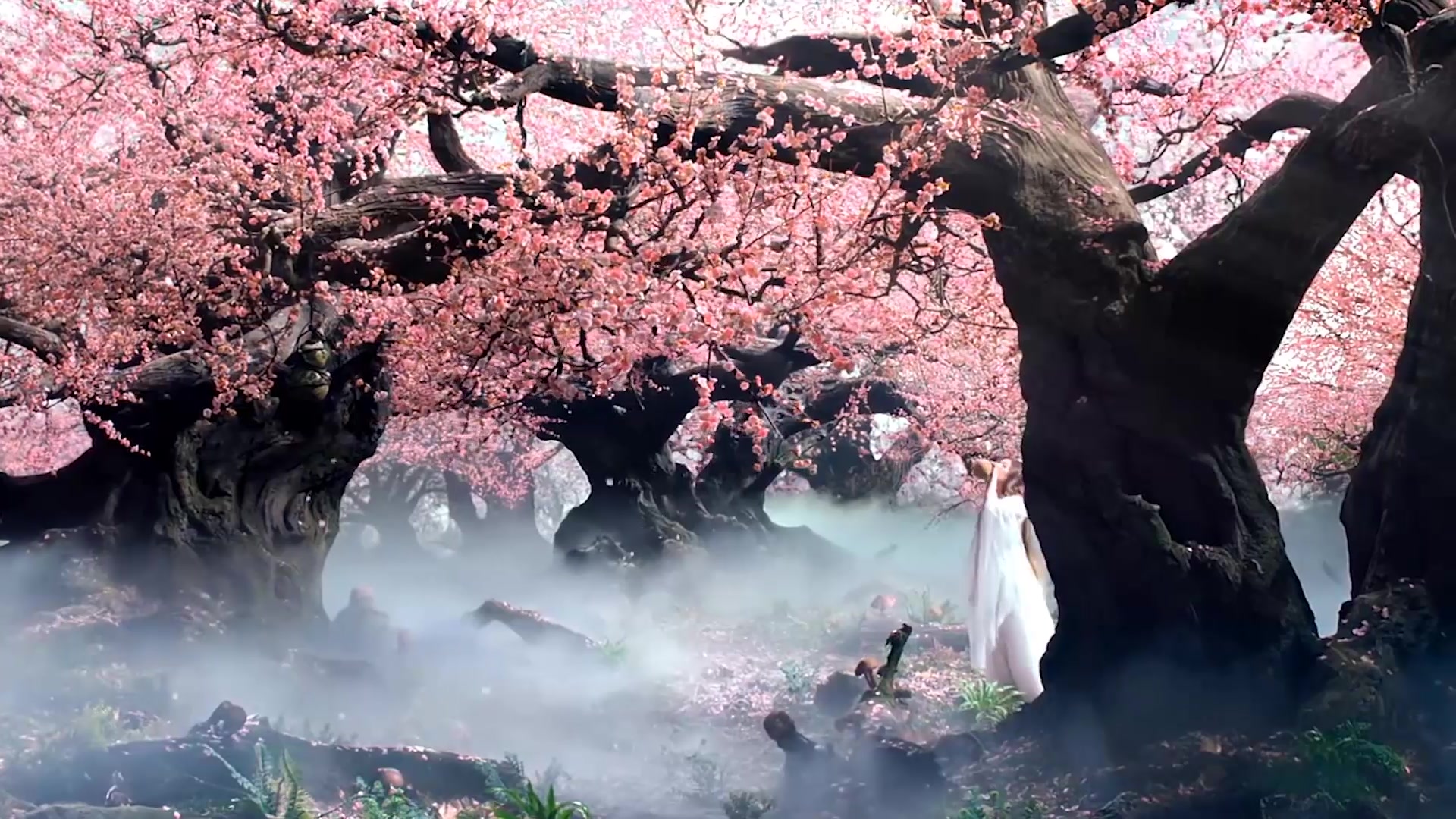 电影三生三世剪辑——歌曲凉凉