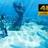 【4K纯享/阿凡达2】感受美到极致的潘多拉海洋