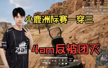 【4am】pcs7小鹿高光一穿三无力4am被团灭