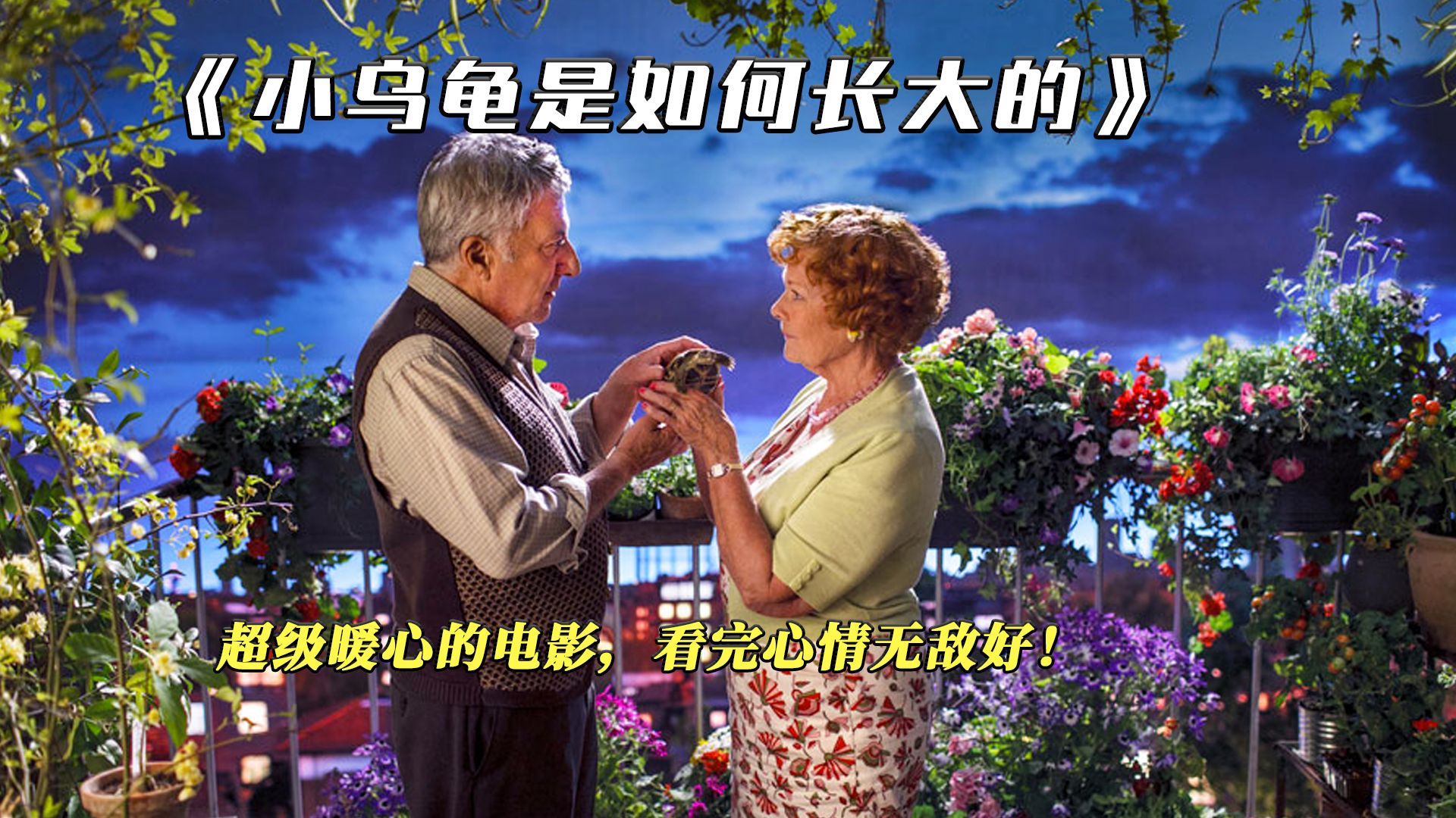 看完心情超好的治愈电影