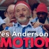 【韦斯·安德森如何处理角色情感 \ Wes Anderson Doesn't Have Conventional Emo