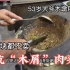 山东“木屑肉夹馍”，53岁小伙木墩用18年剁出深坑，给10万都不卖