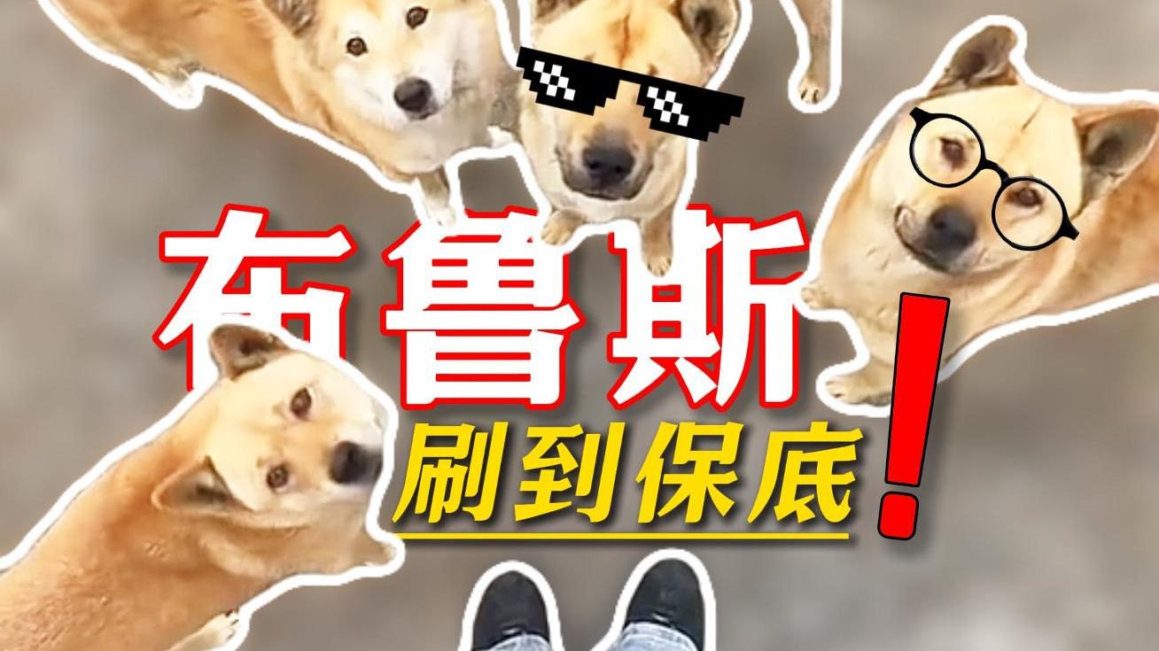 刷到保底 | 请再次震动你追逐自由的心脏！