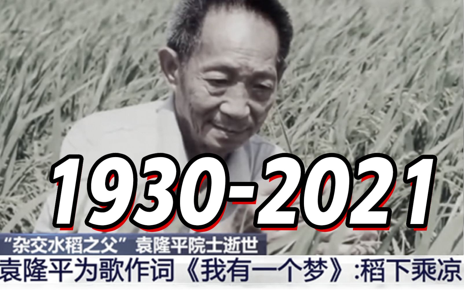 “爷爷，我们想你了”，纪念袁隆平诞辰91周年
