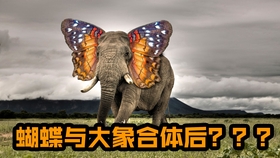 514c1d27b30685f1ec409e2823d63e45723f5109.jpg@280w_158h_1c_100q.jpg