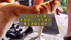 5192cd4b1453943a876746622a070a5571d00b96.jpg@280w_158h_1c_100q.jpg