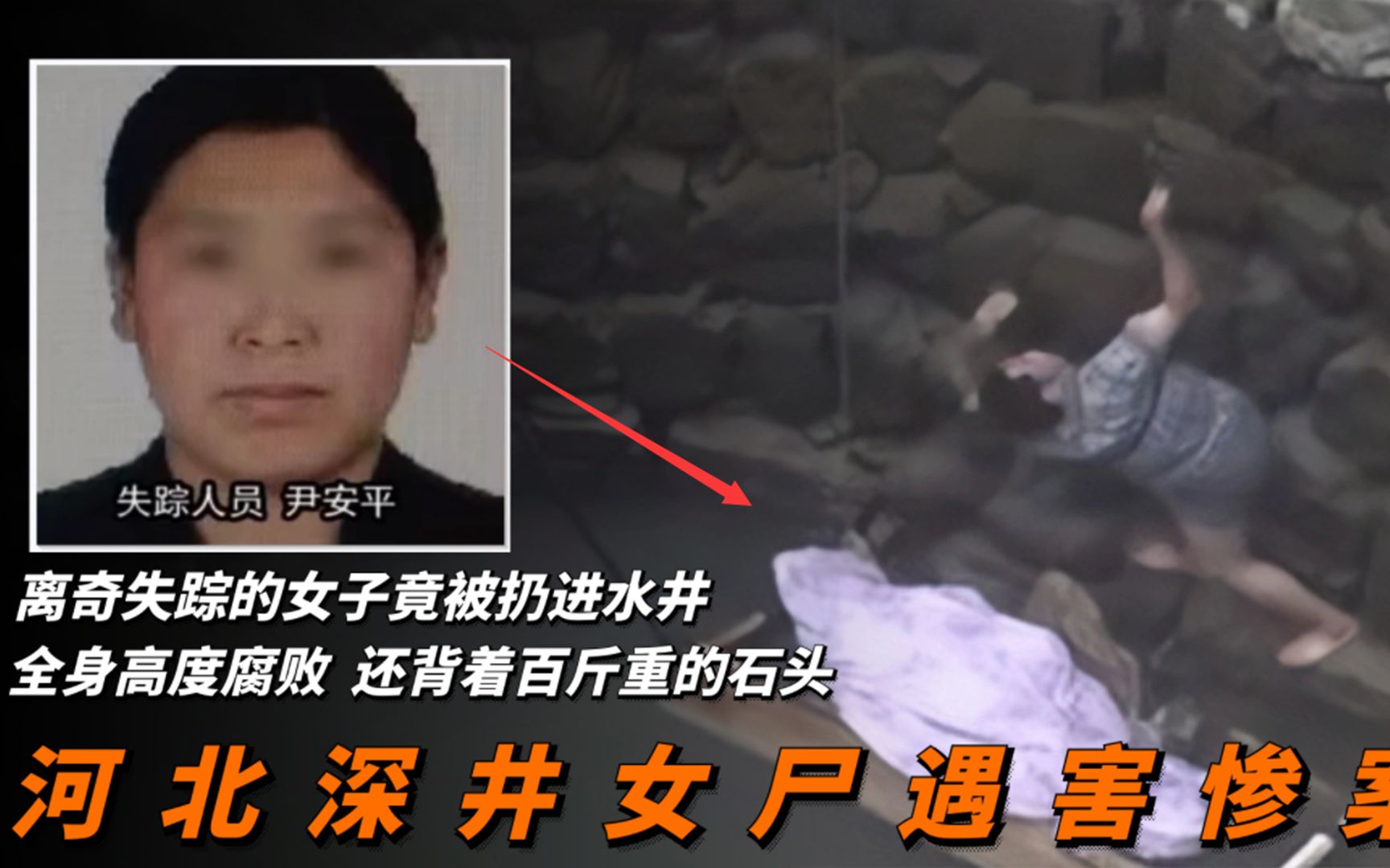 2013年7月25日，河南省林州市《半截女尸案》全集-拍案惊奇故事汇-拍案惊奇故事汇-哔哩哔哩视频