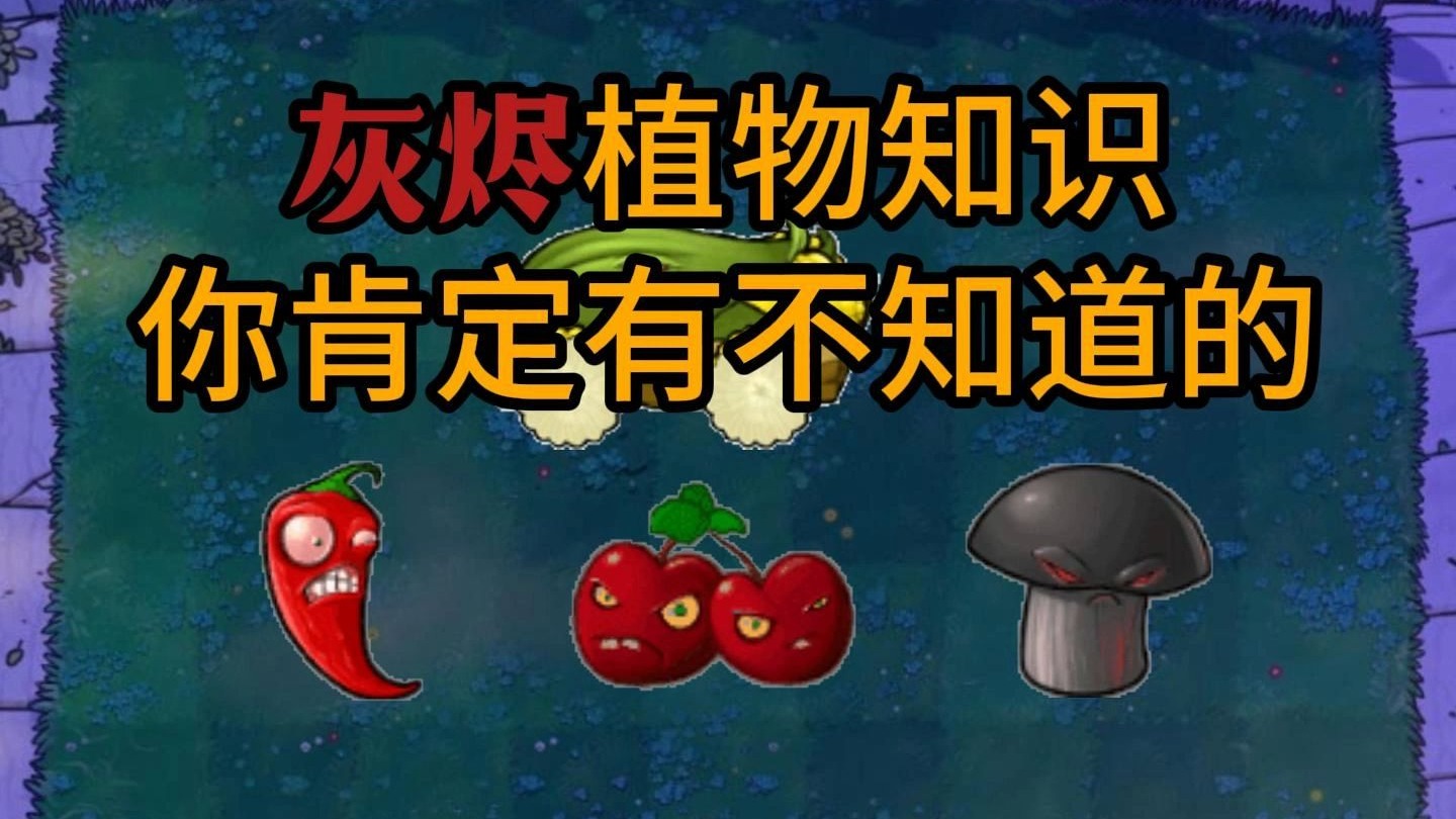 灰烬植物科普，从热到冷的知识，你肯定会有不知道的