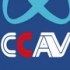 CCAV：央视解读优酷2010年度十大视频