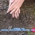 土壤学视频