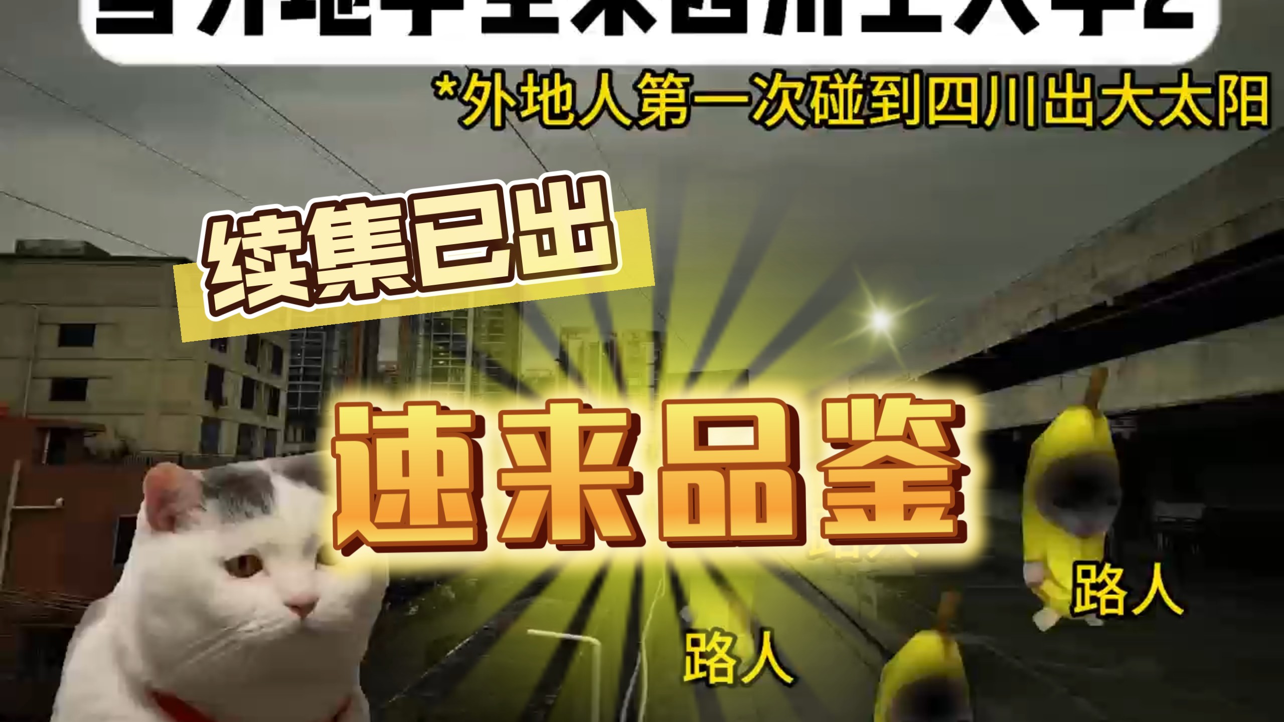 叮咚，您喜欢的外地大学生来川图鉴续集已上线，速来品鉴！！！