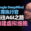 【中英双语】Google DeepMind CEO Demis Hassabis：通向人工通用智能AGI之路、欺骗性人工智能、构建虚拟细胞