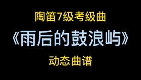 金蛇狂舞竹笛曲谱_金蛇狂舞竹笛谱(2)