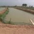 泥鳅池塘养殖技术 泥鳅养殖技术 泥鳅疾病防治 最新泥鳅养殖技术