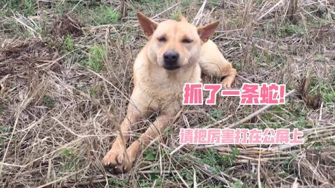 51fb6de0fe71cdbe70315bd782822d604466a28f.jpg@480w_270h_1c