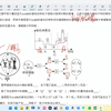 细胞分裂  详解析 高三好题