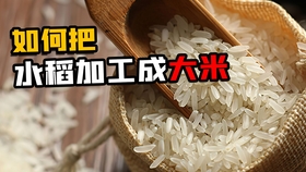 5227c18be72ada5fb1e00a53700a583114469f24.jpg@280w_158h_1c_100q.jpg