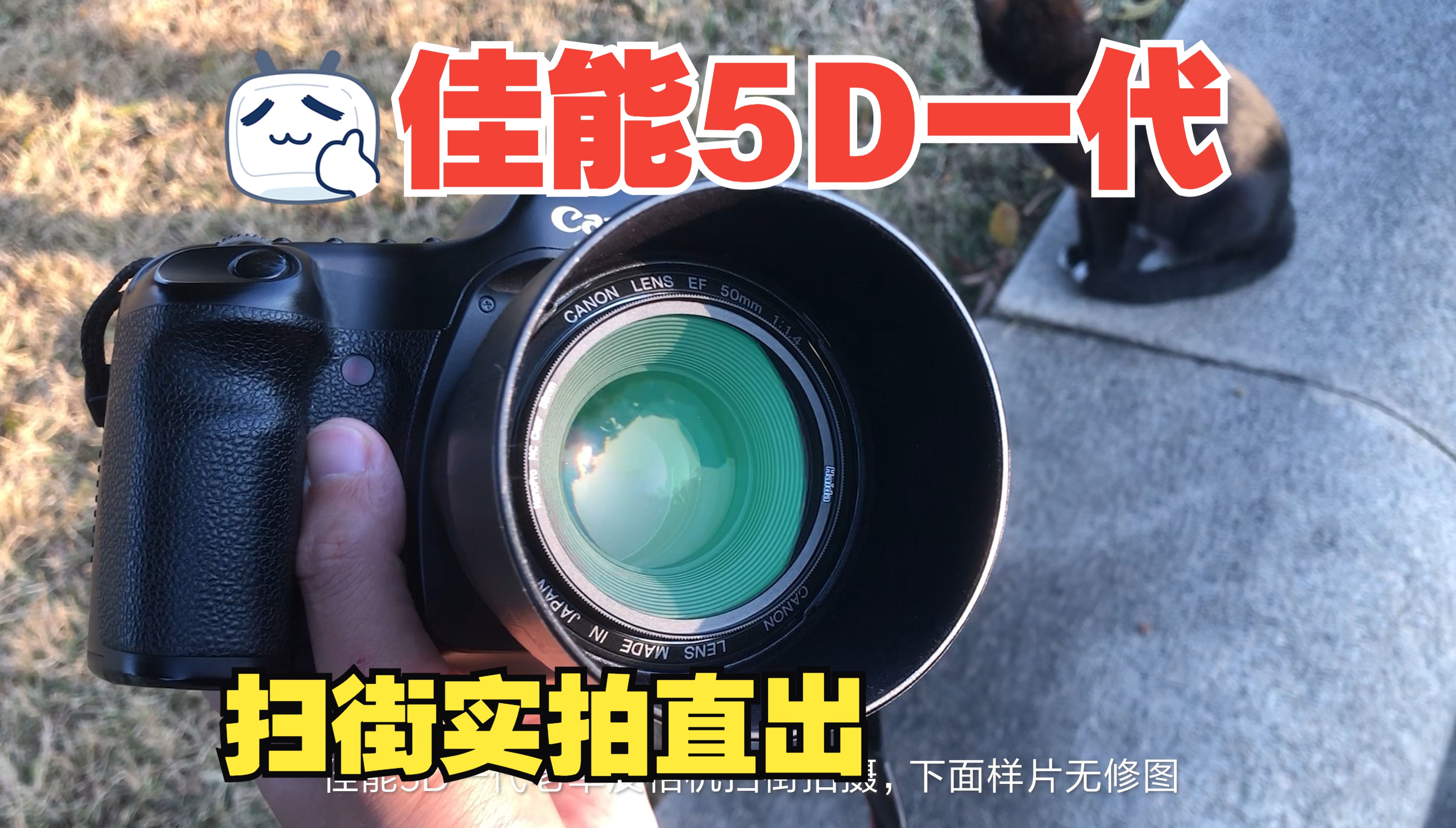 佳能5D一代+大光圈镜头，扫街实拍效果