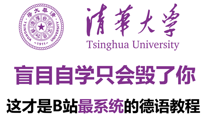 【整整600集】清华大学教授德语公开课，从0基础到德语C1，全程干货无废话，包教包会（附赠德语学习教材）