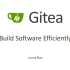 Gitea-用Go实现的世界级开源项目