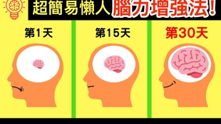 52515d896eea8a7789ec4d2aa7a7530a598606c9.jpg@310w_174h_1c_100q.jpg